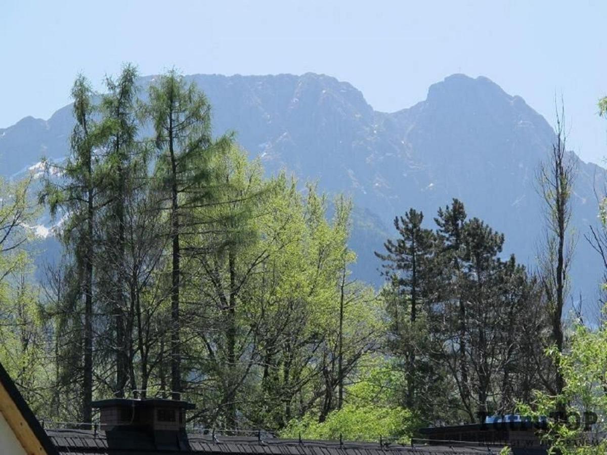 Tatrytop Apartamenty Kaszelewski Zakopane Dış mekan fotoğraf
